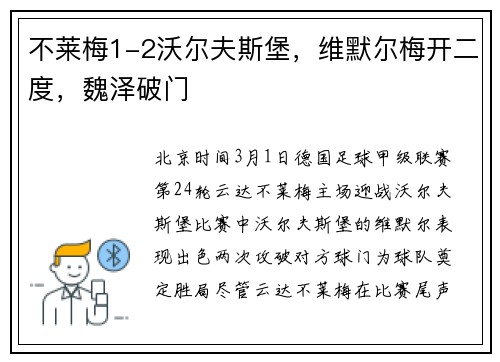 不莱梅1-2沃尔夫斯堡，维默尔梅开二度，魏泽破门